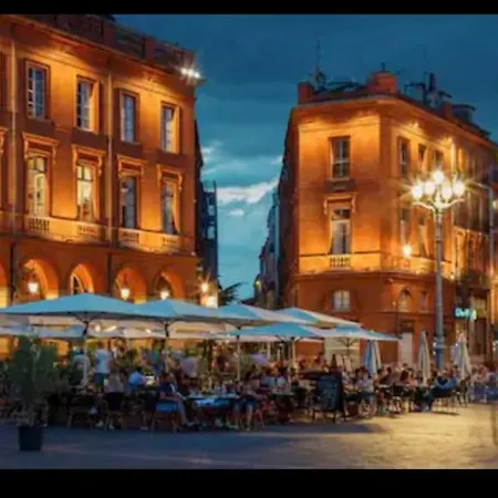Apartmán T2 Climatise - With Ac - Private Terrace - Centre Toulouse